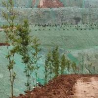 綿陽推進涉礦生態環境問題綜合整治，近一年實地檢查礦山超100座