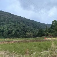 375萬噸/年！江西宜春國企競(jìng)得當(dāng)?shù)鼗規(guī)r礦